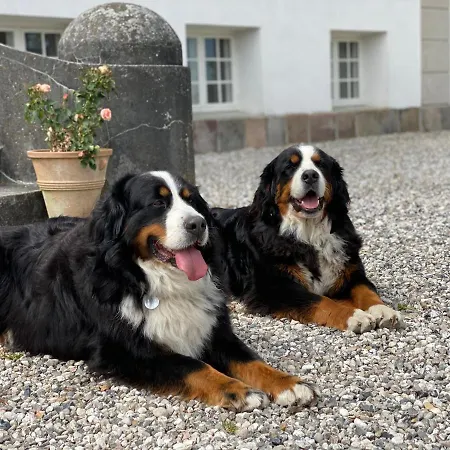 Rosenlund Gods * Sakskøbing